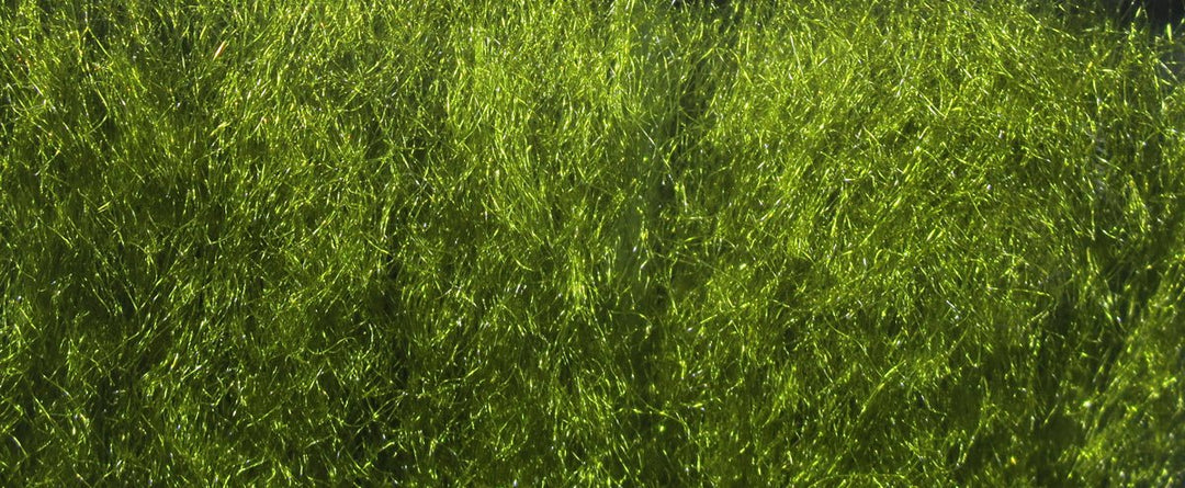 Hareline UV2 Sparkle Yarn | Tailwaters Fly Fishing