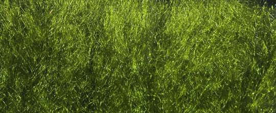 Hareline UV2 Sparkle Yarn | Tailwaters Fly Fishing