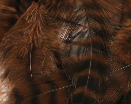 Hareline UV2 Grizzly Soft Hackle | Tailwaters Fly Fishing