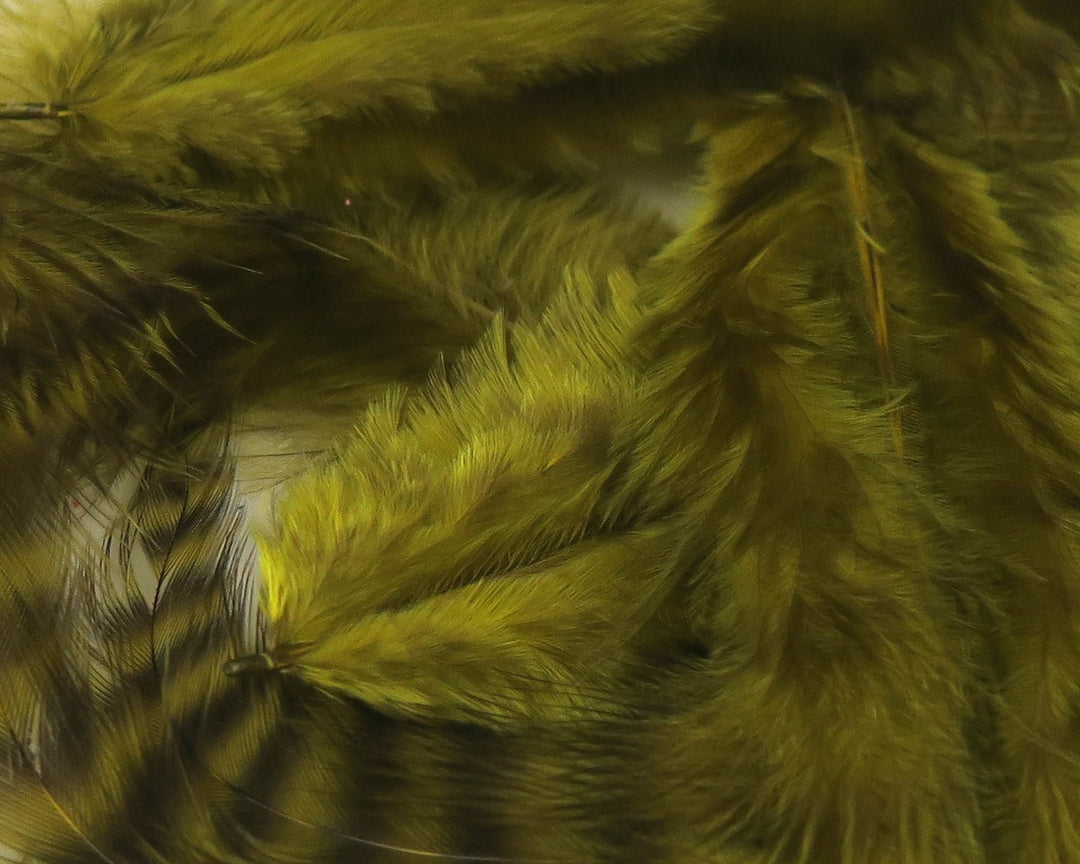 Hareline UV2 Grizzly Soft Hackle | Tailwaters Fly Fishing