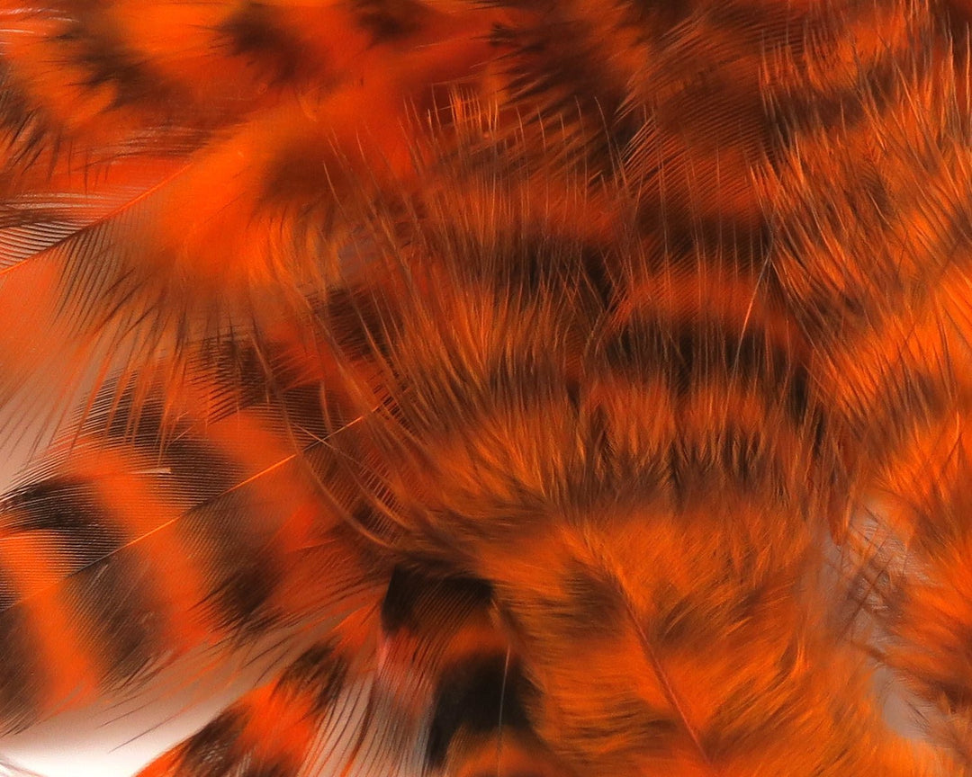 Hareline UV2 Grizzly Soft Hackle | Tailwaters Fly Fishing