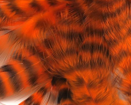 Hareline UV2 Grizzly Soft Hackle | Tailwaters Fly Fishing