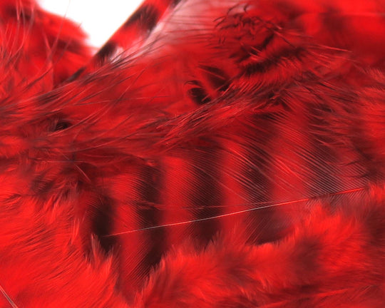 Hareline UV2 Grizzly Soft Hackle | Tailwaters Fly Fishing