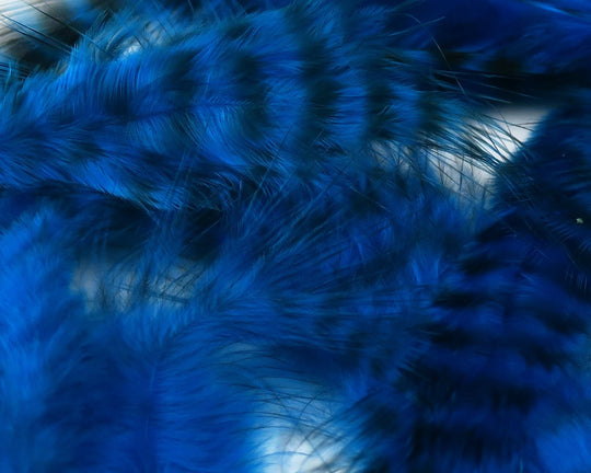 Hareline UV2 Grizzly Soft Hackle | Tailwaters Fly Fishing