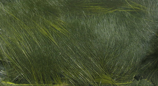 Hareline UV2 Rabbit Strips | Tailwaters Fly Fishing