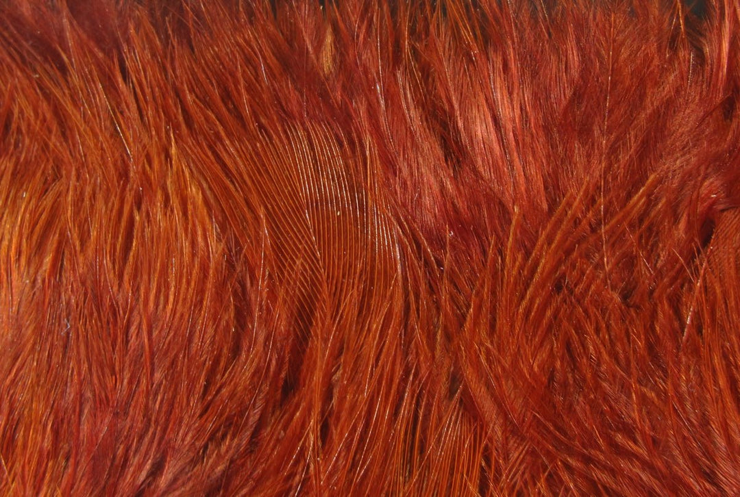 Hareline Wooly Bugger Marabou | Tailwaters Fly Fishing