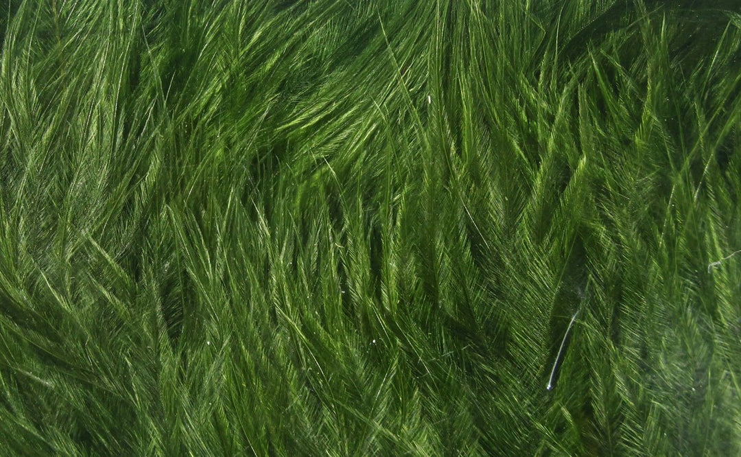Hareline Wooly Bugger Marabou | Tailwaters Fly Fishing