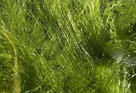 Hareline Wire Free Synthetic Fox Brushes | Tailwaters Fly Fishing