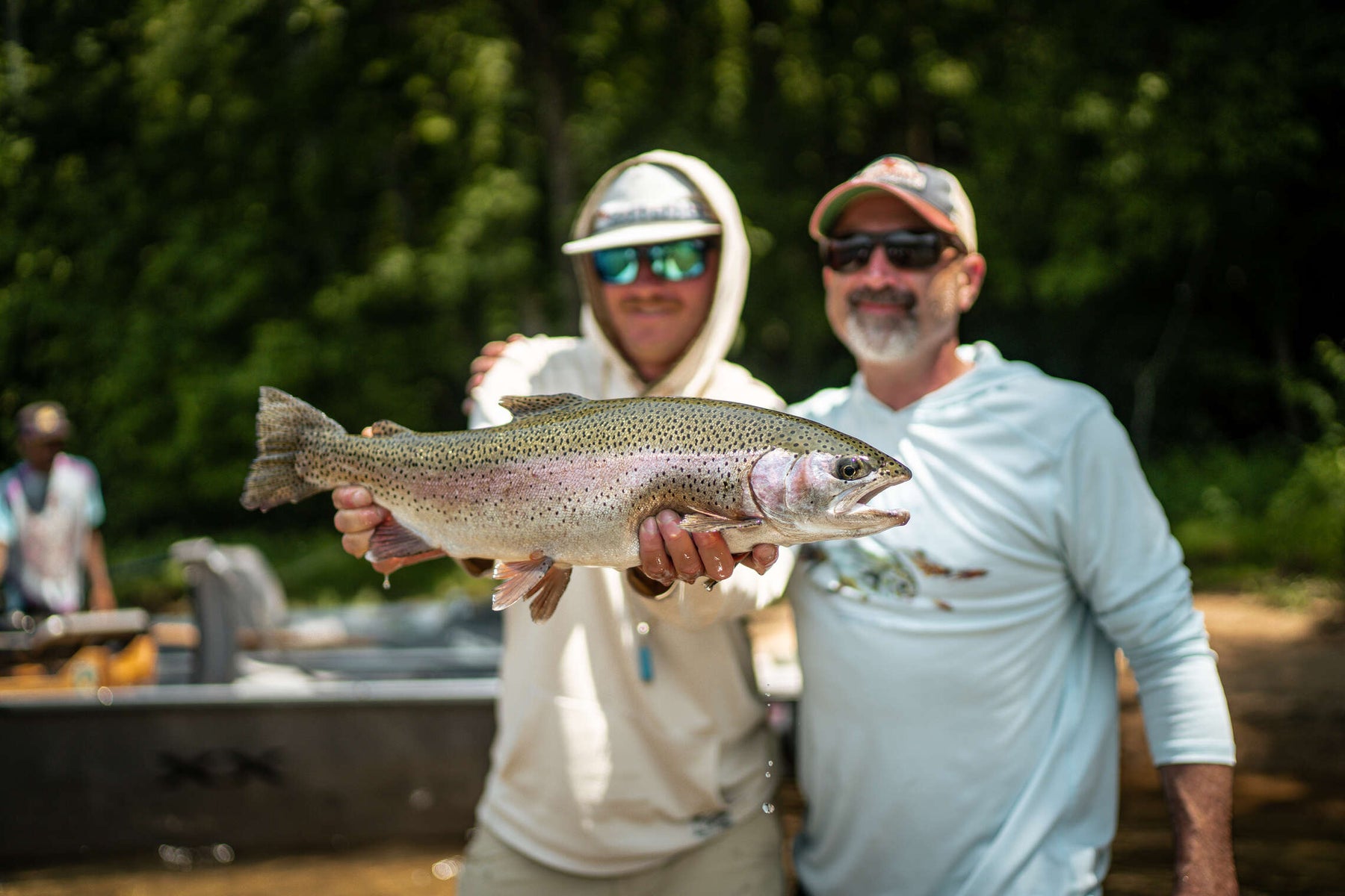 White River trout fishing