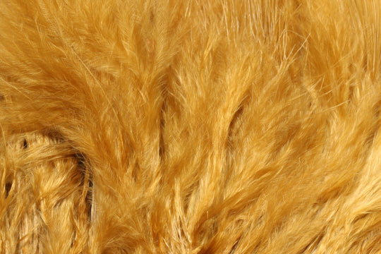 Hareline X-Select Marabou