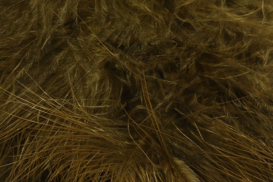 Hareline X-Select Marabou