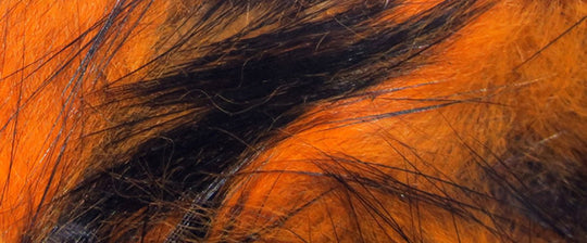 Hareline Crosscut Two Tone Rabbit Strips | Tailwaters Fly Fishing