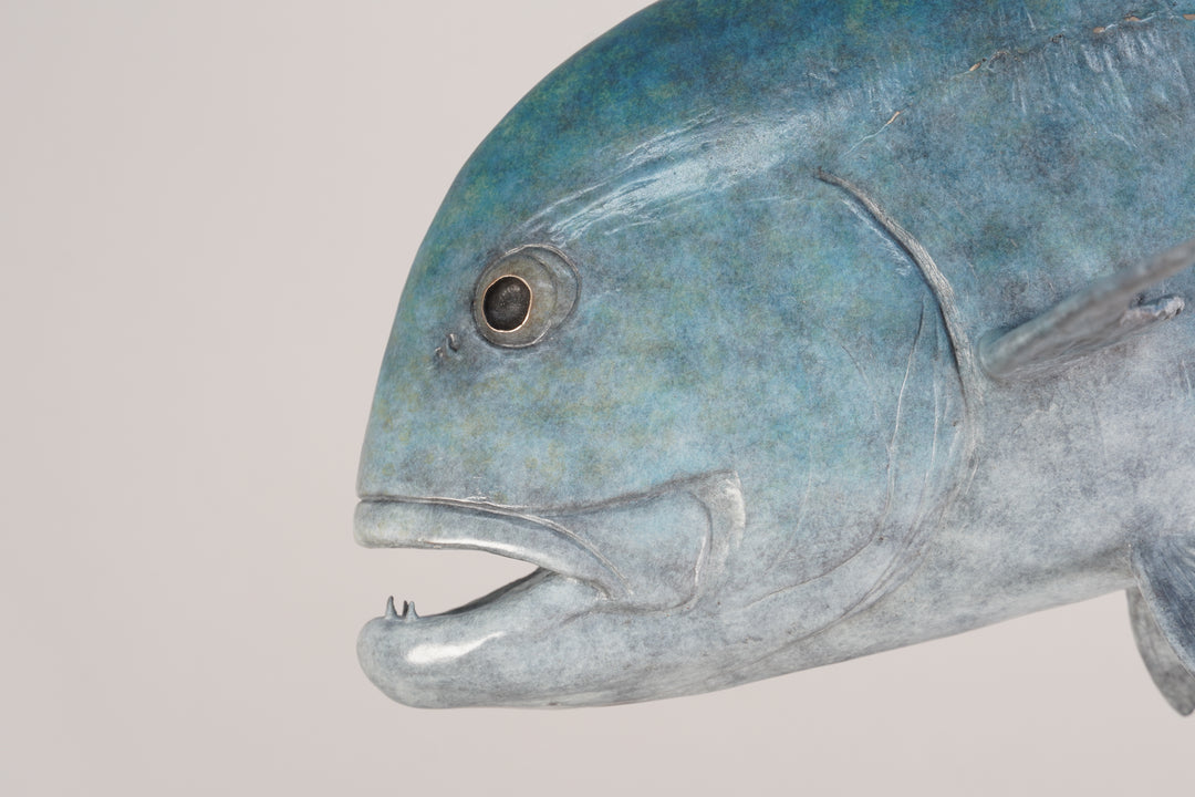 Chris Bladen Giant Trevally I Bronze Sculpture