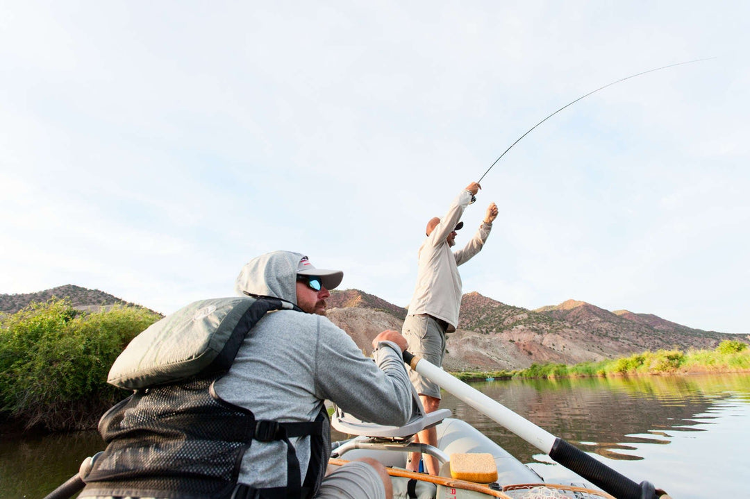 Scott Rod Company Session Fly Rod | Tailwaters Fly Fishing