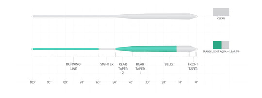 Scientific Anglers Magnitude Smooth Infinity Salt Full Clear Float Fly Line | Tailwaters Fly Fishing