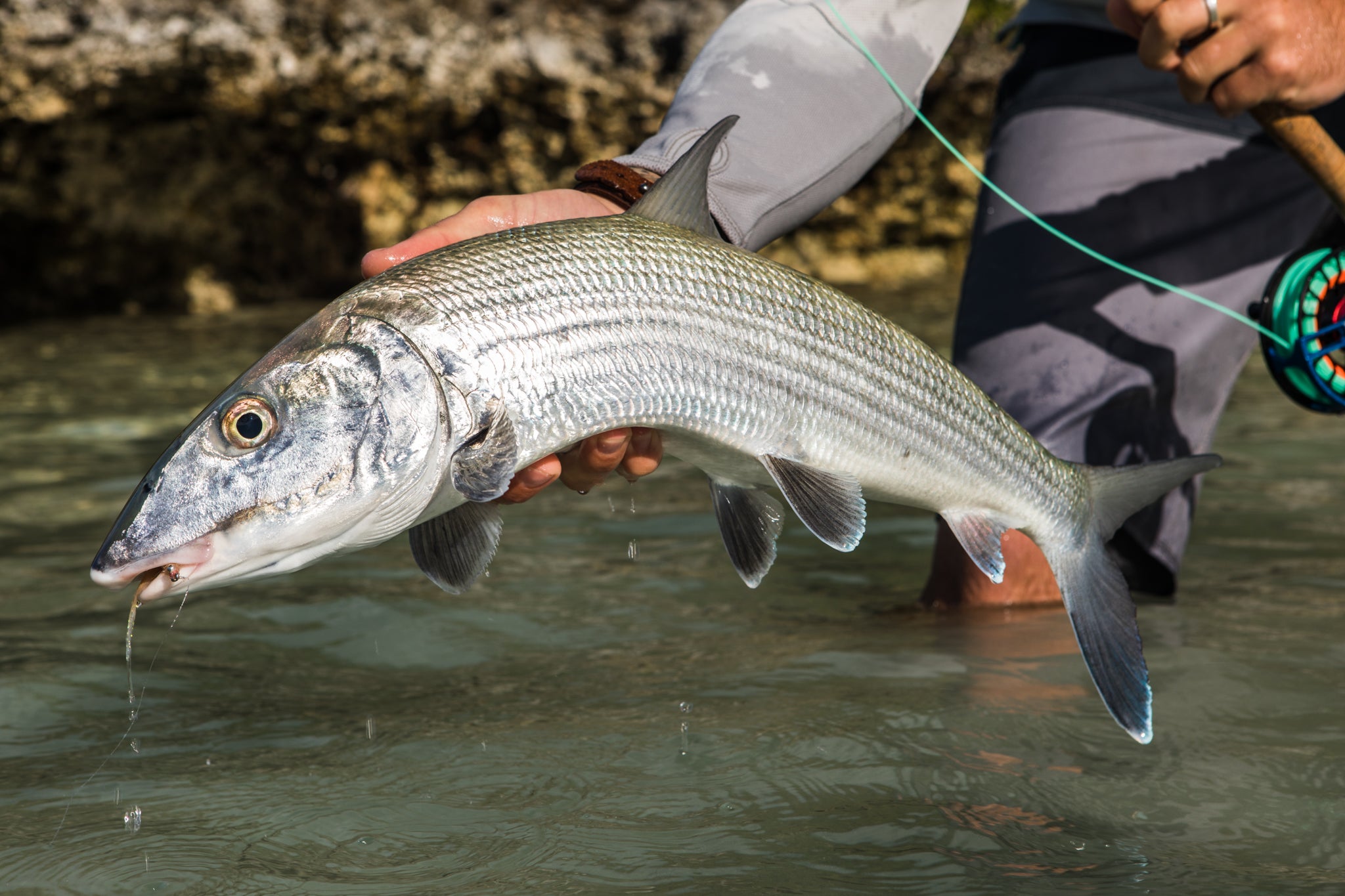 SPORTSMAN'S GUIDE, Fly fishing is less about fish, more about the angler