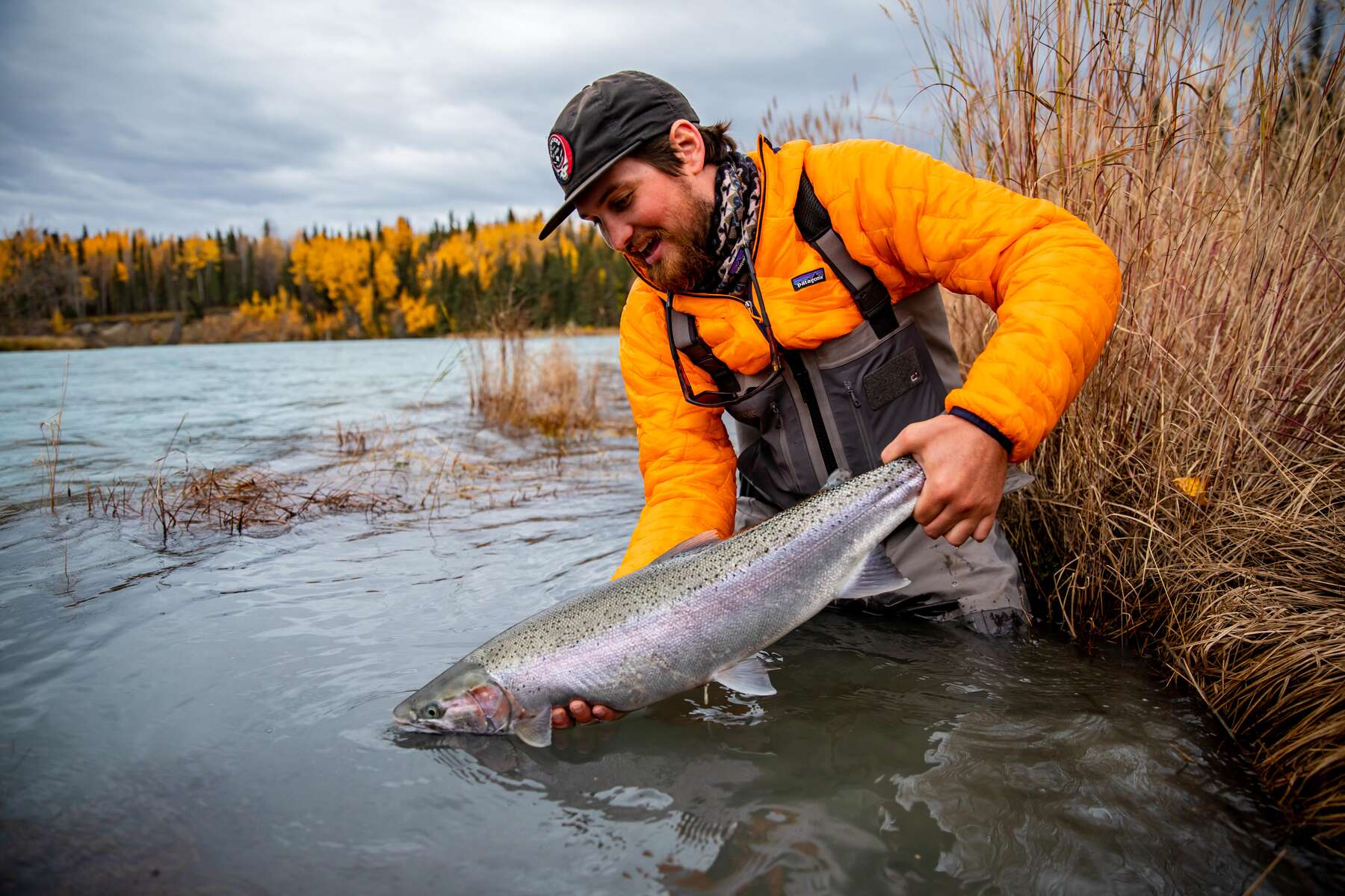Fish Alaska Steelhead Company – Tailwaters Fly Fishing