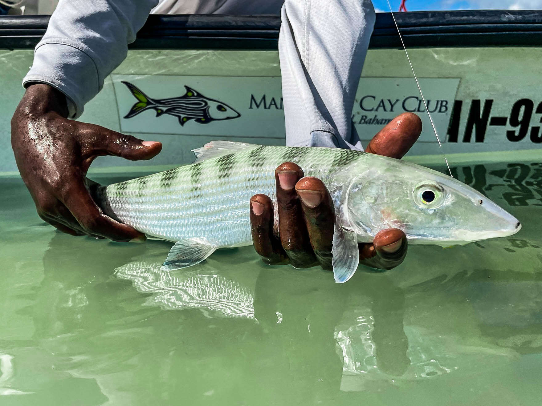 Fish Mangrove Cay – Tailwaters Fly Fishing