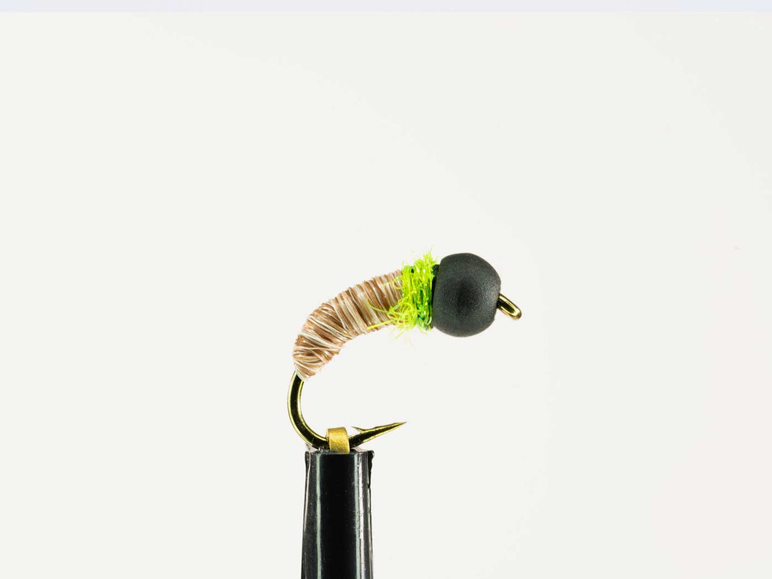 Yakoda Cased Caddis (3-Pack) | Tailwaters Fly Fishing