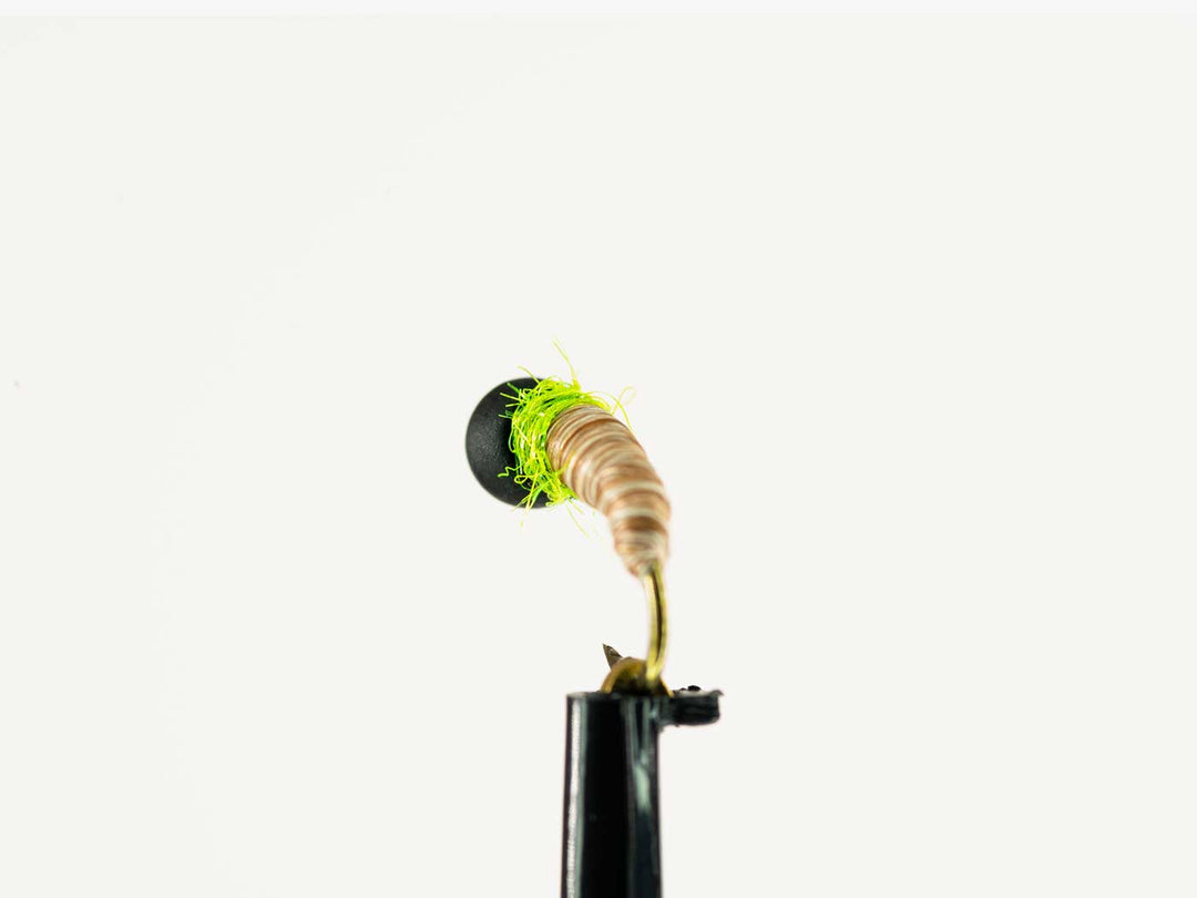 Yakoda Cased Caddis (3-Pack) | Tailwaters Fly Fishing
