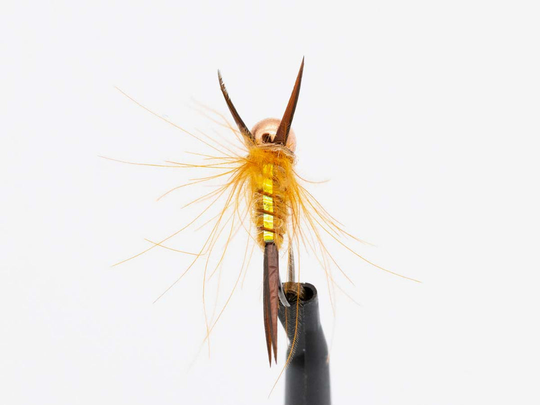 Yakoda CDC Stonefly (3-Pack) | Tailwaters Fly Fishing