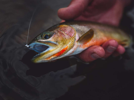 Yakoda Crystal Chironomid Pupa (3-Pack) | Tailwaters Fly Fishing
