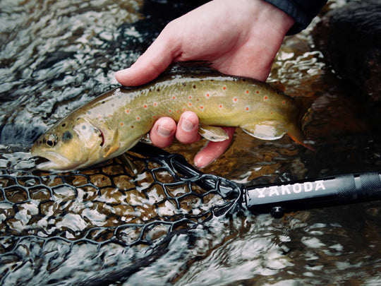 Rising x Yakoda Net | Tailwaters Fly Fishing