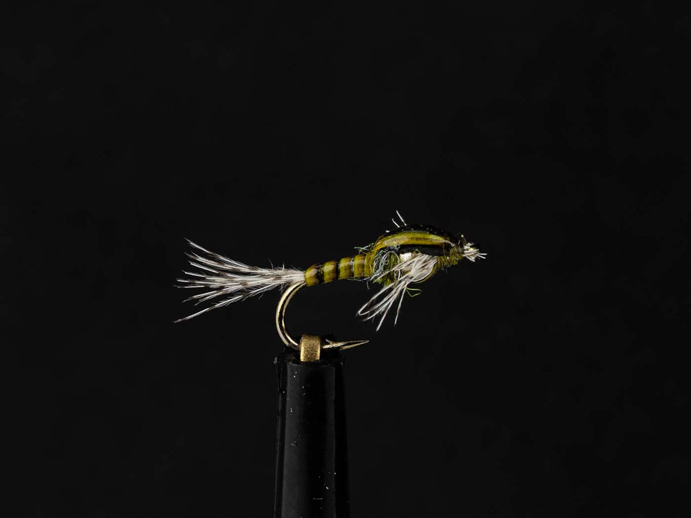 Yakoda Tungsten QB Baetis (3-Pack) | Tailwaters Fly Fishing
