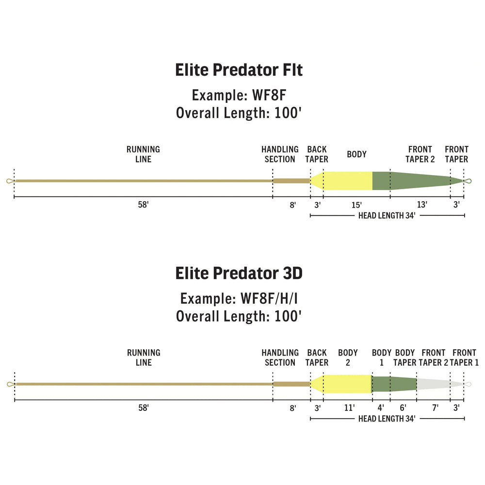 RIO Products Elite Predator | Tailwaters Fly Fishing