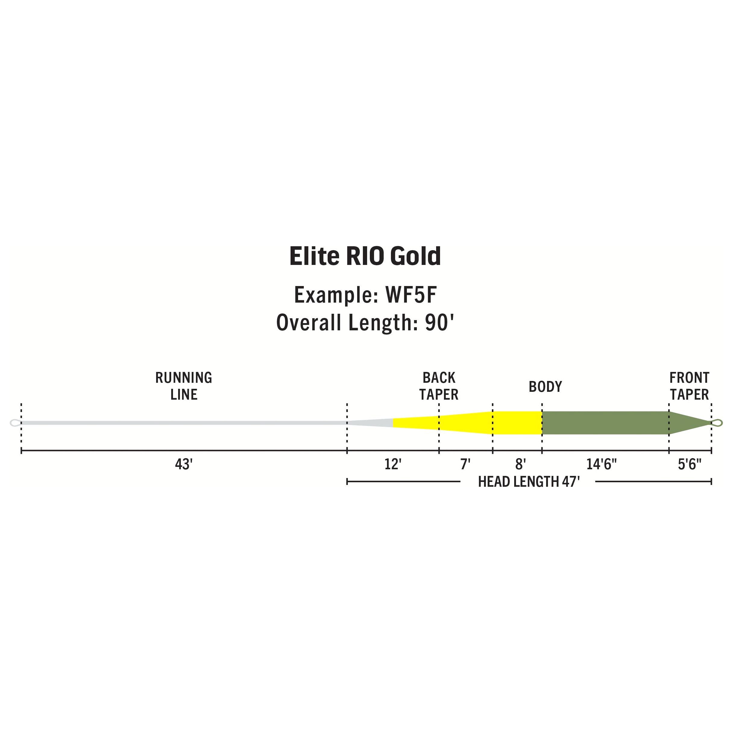 RIO Products Elite Rio Gold Image 02