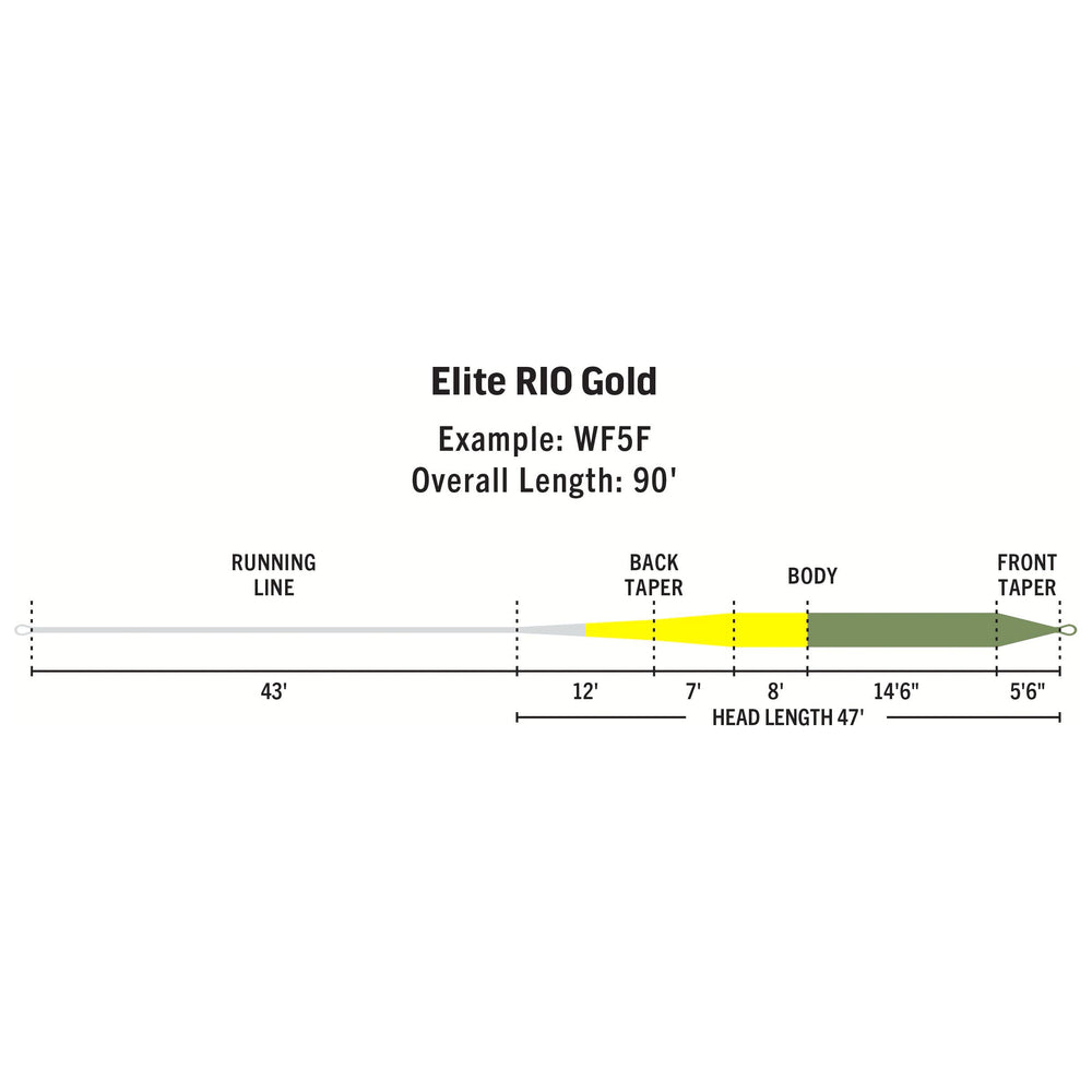 RIO Products Elite Rio Gold | Tailwaters Fly Fishing