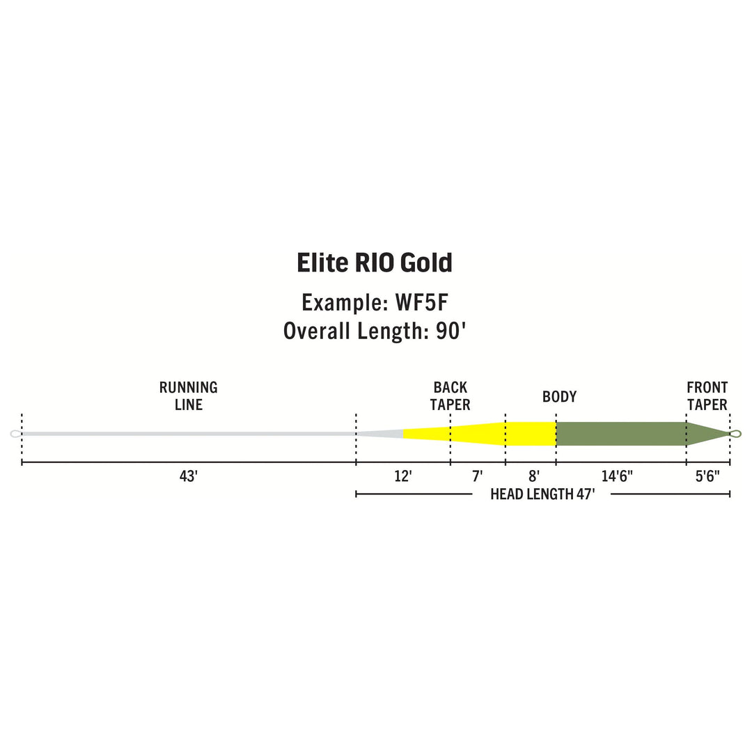 RIO Products Elite Rio Gold | Tailwaters Fly Fishing