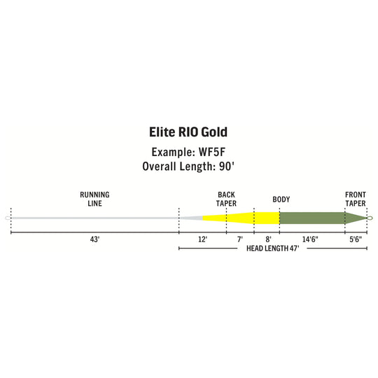RIO Products Elite Rio Gold | Tailwaters Fly Fishing