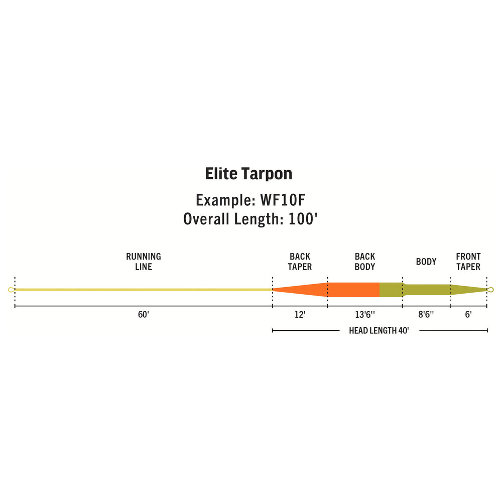RIO Products Elite Tarpon | Tailwaters Fly Fishing