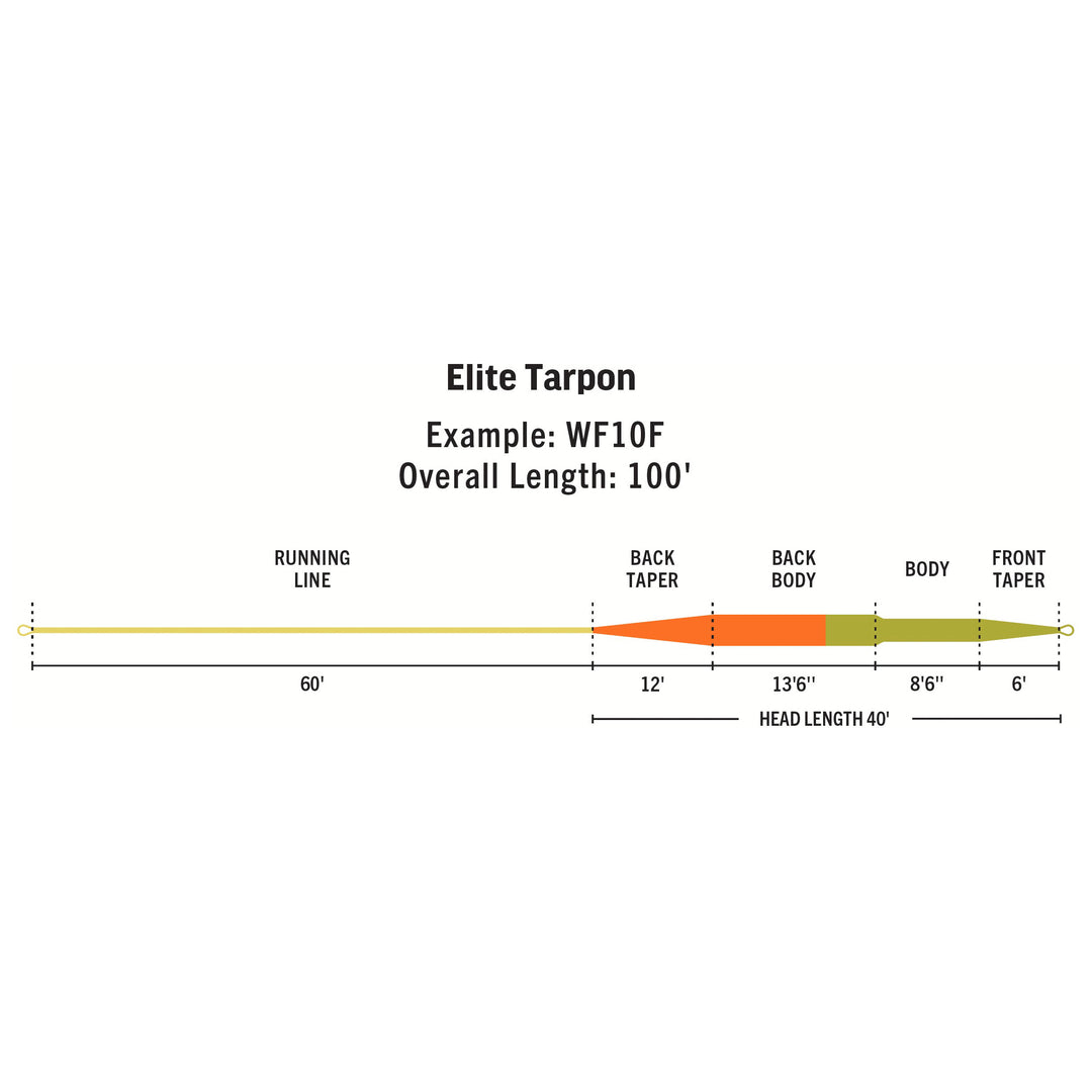 RIO Products Elite Tarpon | Tailwaters Fly Fishing