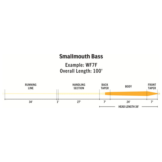 RIO Products Smallmouth Bass | Tailwaters Fly Fishing