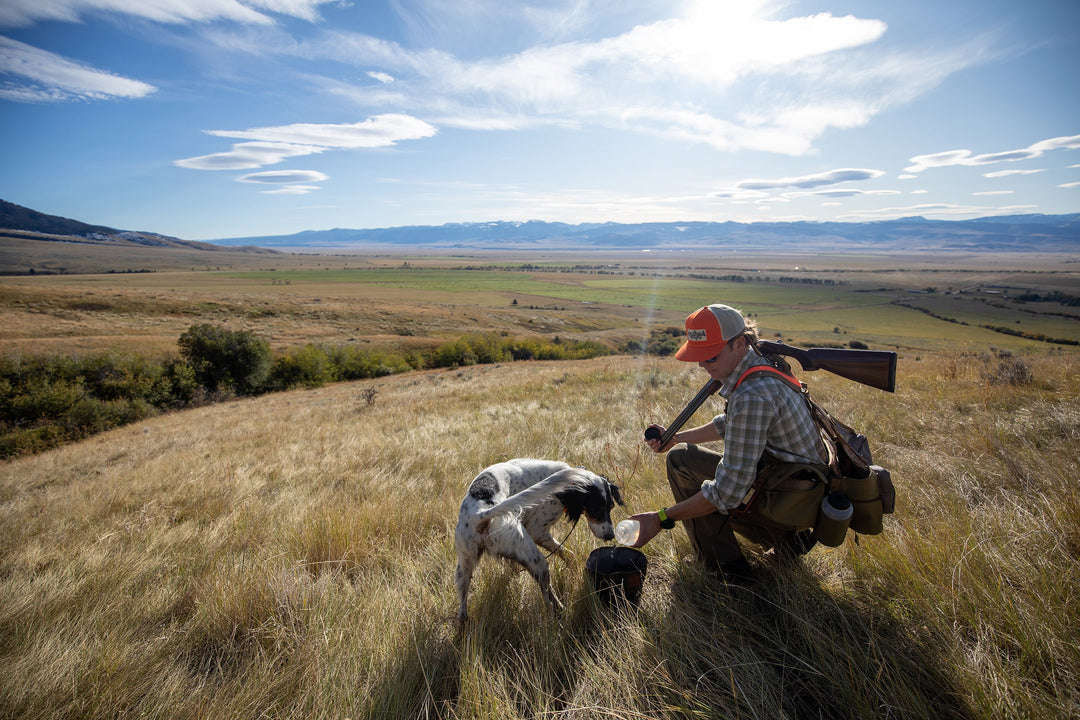 Fishpond Bow Wow Travel Water Bowl | Tailwaters Fly Fishing