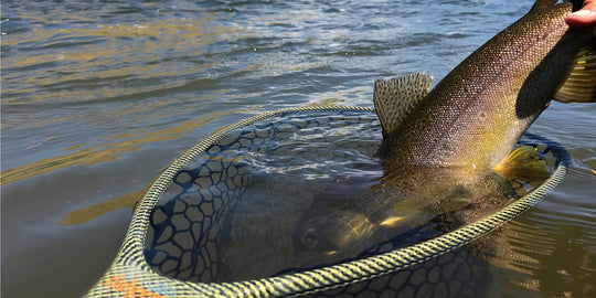Fishpond Nomad Mid-Length Net | Tailwaters Fly Fishing