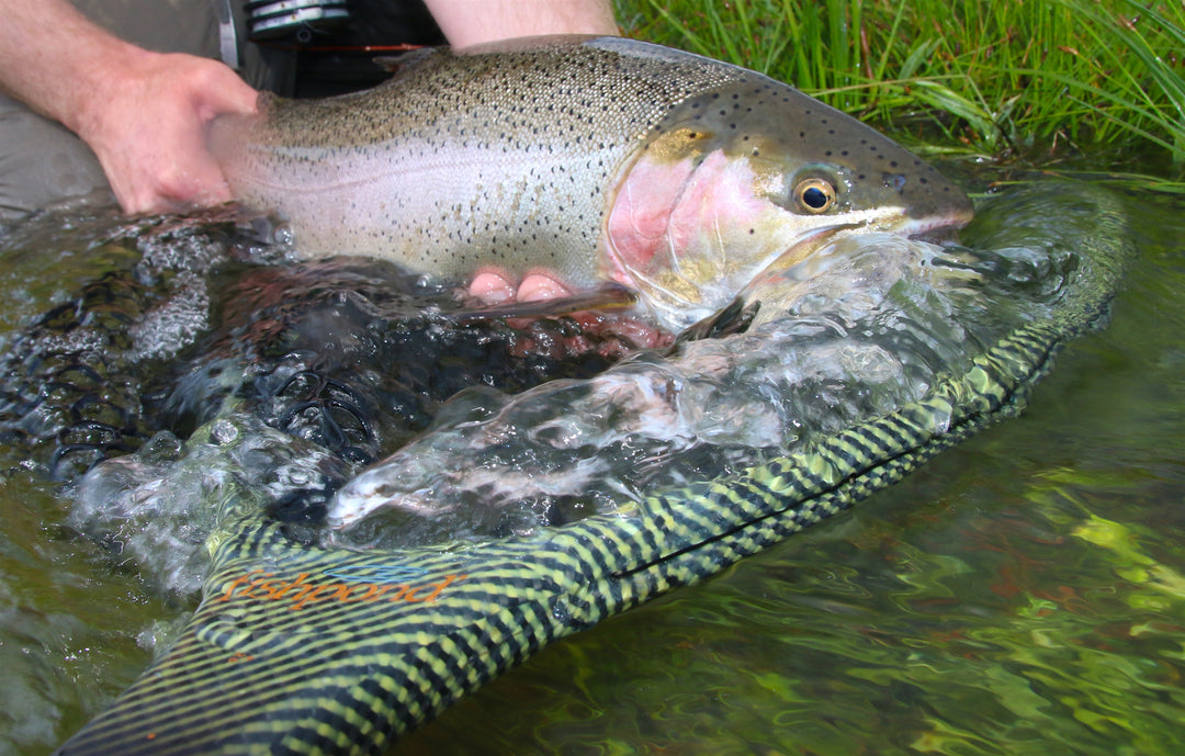 Fishpond Nomad Mid-Length Net | Tailwaters Fly Fishing