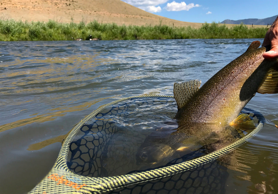Fishpond Nomad Mid-Length Net | Tailwaters Fly Fishing