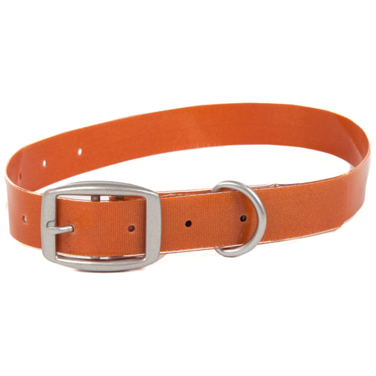 Fishpond Salty Dog Collar | Tailwaters Fly Fishing