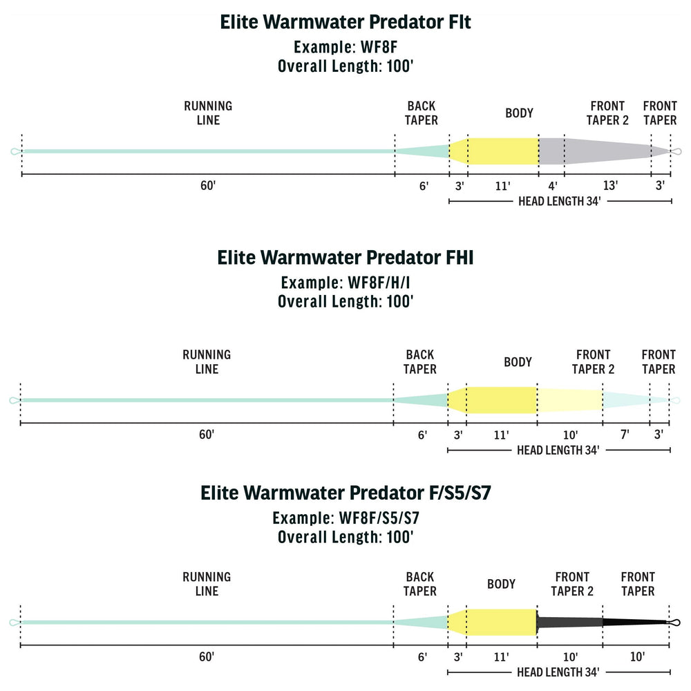 RIO Products Elite Warmwater Predator Image 02