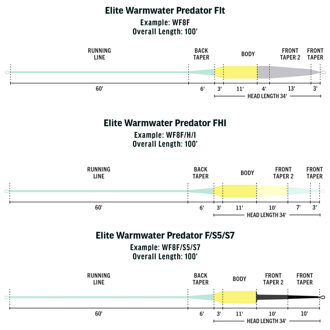 RIO Products Elite Warmwater Predator Image 02