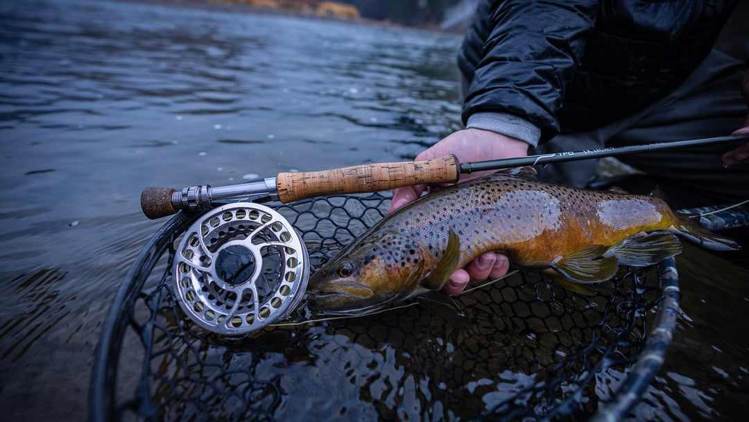 TFO LK Legacy Rod with Case | Tailwaters Fly Fishing